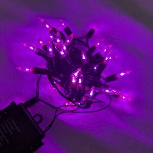 Christmas Lights, 50-Count Black Wire Light Set, Battery Operated Lights (EUC)